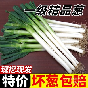 �aɽ�|���[�߲�10���r�����ڴ�����[�ﮔ���a�ذl�Fֱ����ȫ��