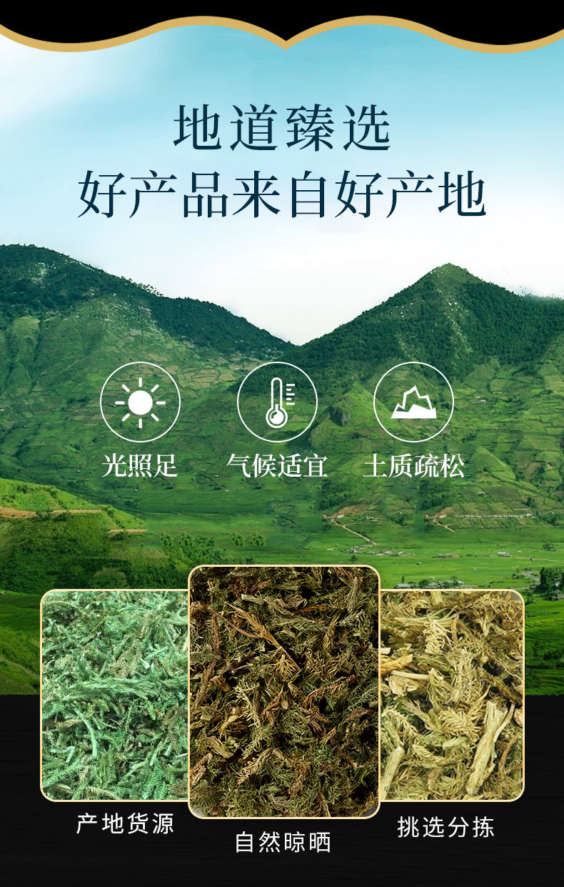 Shen Jin Cao (Lycopodium clavatum) — Dried Food Herb for Tendon-Soothing Decoctions & Soup overview