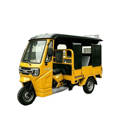 Passenger Tricycle, Wear-Resistant, Sərnişin üçtəkərli motosikllar