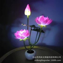 太阳能灯;LED装饰灯;景观灯