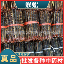 蜈蚣草中药材湖北蜈蚣自然晒干红头蜈蚣百足虫各种规格厂家批发