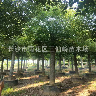 ���������l 8-12-15-18-20���������� ���~������������l