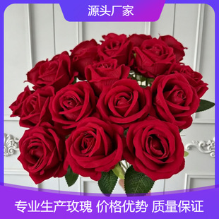 ��֧�q������õ�廨�̈�����õ���ٲ����Ⲽ�û����廨�Ҿ��b�