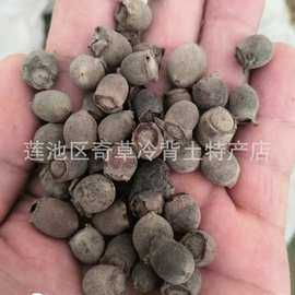 桃金娘子,山稔子,批发中药材桃金娘果,桃金娘科植物桃金娘的果实