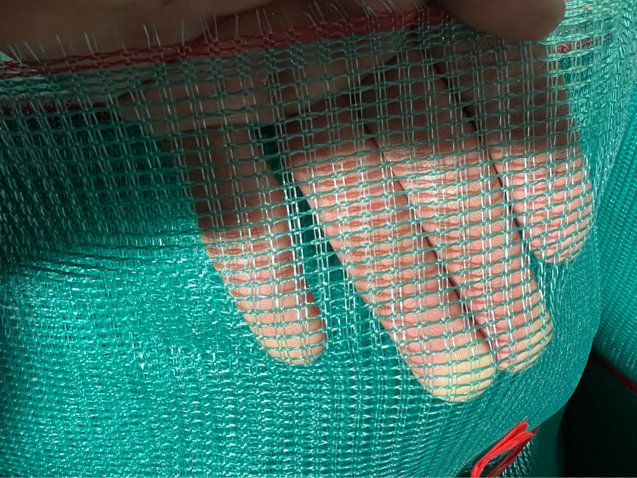 Завод прямой цвет моря семь витая сетка Омаров анти-побег сетка клетка Сетка 10 меш