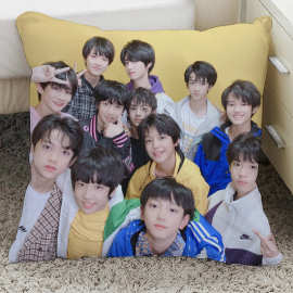 tf家族三代周边抱枕明星同款朱志鑫张极左航图片双面制作