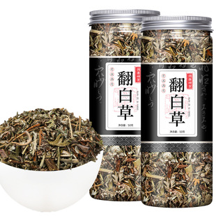 ���ײ� ǧ�N�� ����ذ� �~�°� �䱳��ș�����l�в�șș�ĵ��