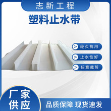 塑料止水带 PVC止水带 背贴式 中埋式EVA止水带地铁隧道涵洞用