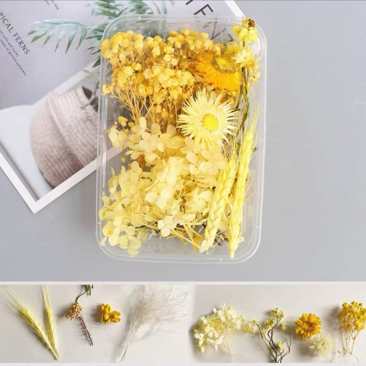 Paquete mixto de bricolaje, decoración hecha a mano, flor eterna, material de paquete de flores secas, marco de fotos de bricolaje, paquete de flores en relieve, día de la mujer