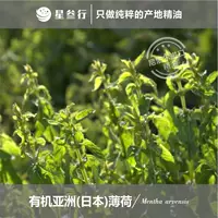 Органическое азиатское эфирное масло мяты перечной из Непала, освежающее ароматерапевтическое массажное масло, сырье для ароматерапии оптом