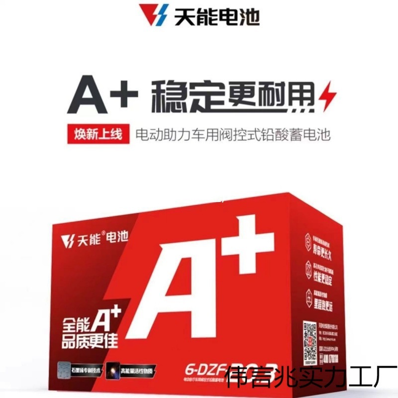 バッテリーカー鉛酸ティエンナーバッテリー 48V 電気自動車バッテリー 36V60V72V 三輪車バッテリー交換|undefined