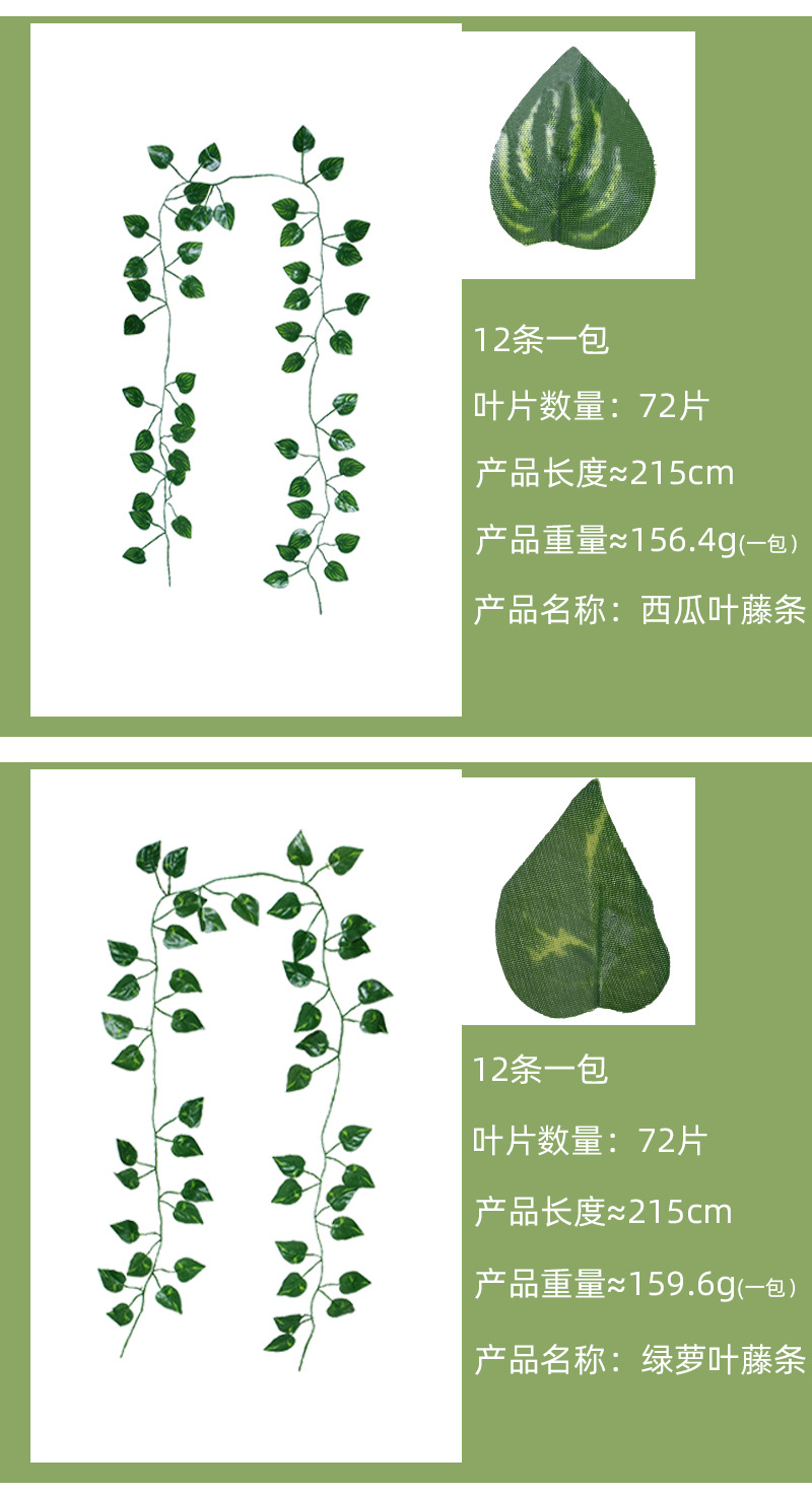 地瓜藤