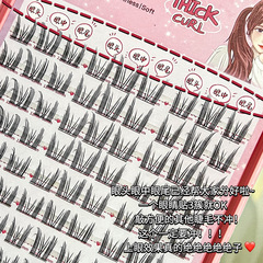 BQI Lazy Cat Elf Eyelash Book Natural Simulated Thin Stems Large Capacity Eyelashes Eye Head Eyes Eye Tail