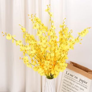 5�������m���滨��c�Ƶ겼�ú����m�Ҿ��bٻ������S�����l