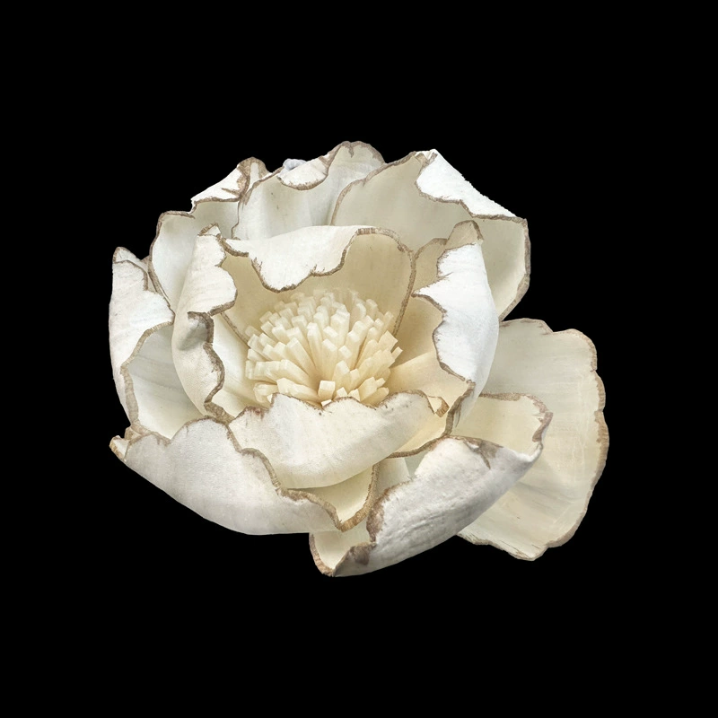 Оптовая продажа | 6cm обожженный окантовка пион Tongciao цветок дома украшения