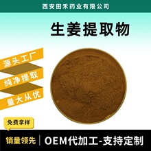 生姜提取物10:1食品级多规格另有生姜油微囊粉姜黄素等量大从优