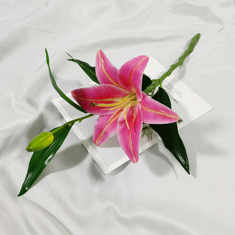 IMG_20220212_111837_副本