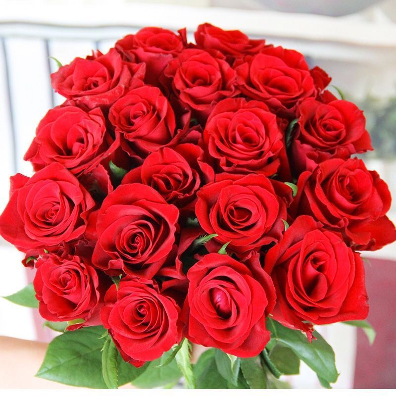 e7269856-258f-4051-985e-bfbd03353def.jpe