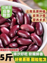 红芸豆红腰豆5斤 云南农家自产新鲜大粒打豆浆煲汤熬粥大红豆子