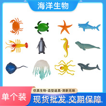 仿真海洋生物模型 PVC动物玩具海洋馆儿童益智精美礼品一件代发