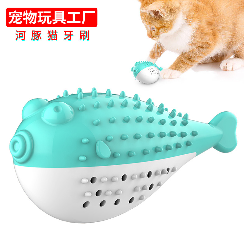 宠物用品工厂家批发公司新爆款亚马逊TIKTOK猫牙刷逗猫咪磨牙玩具