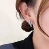 Design goods, advanced universal small earrings, trend of season, internet celebrity, simple and elegant design