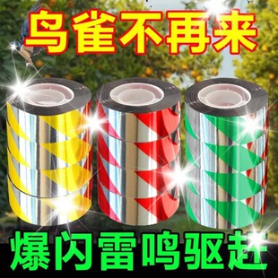 ��B�ʎ����⎧�s�B���B�ʎ���B�W�⎧�s�B�@�B��B�Б����s�B��