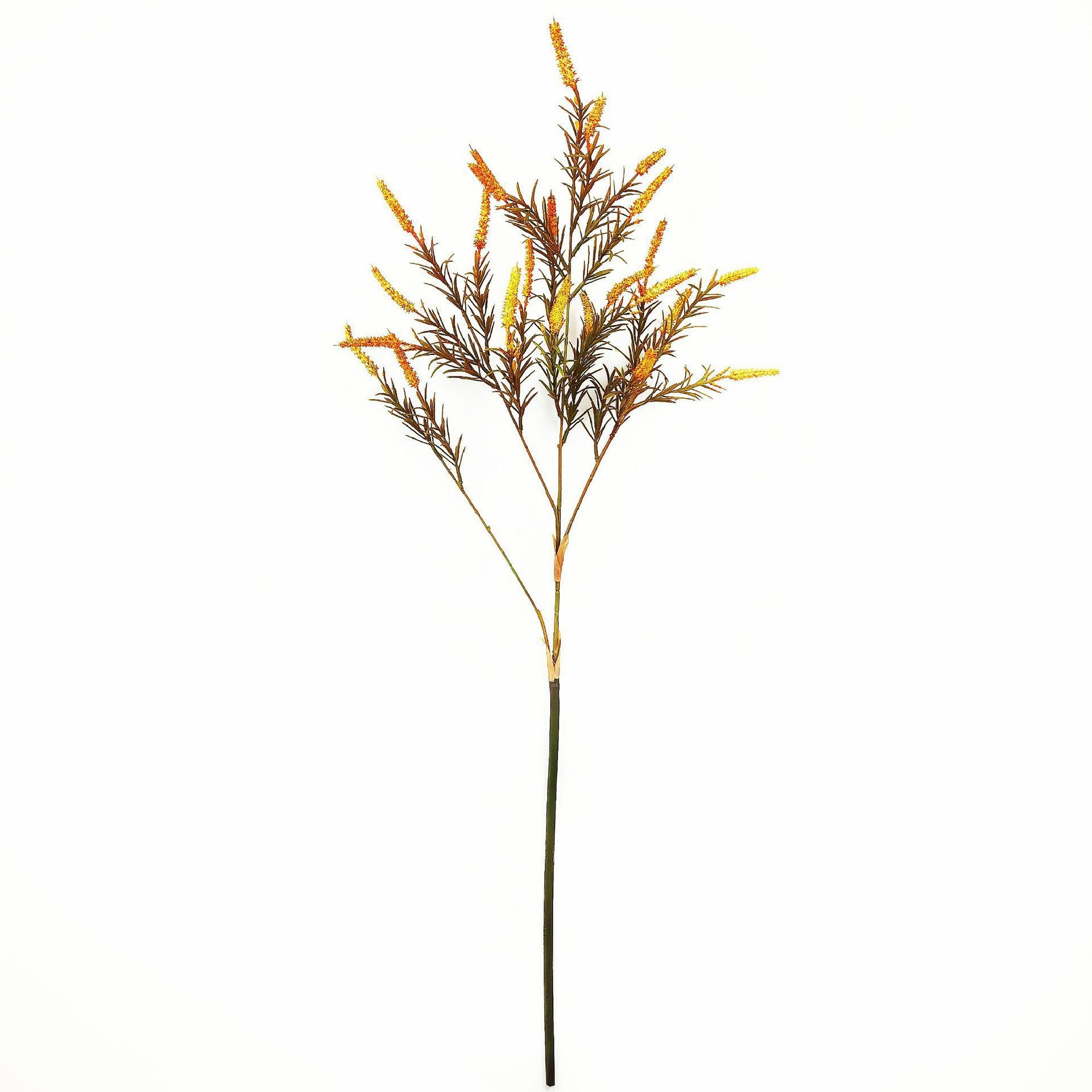 O1CN01oWDTUW1K0lP1NYLPs_!!2217