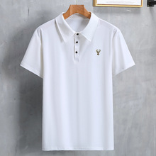 2025�ӷʼӴ�a�ļ�����t���г������I�̄�POLO�������w�����·�