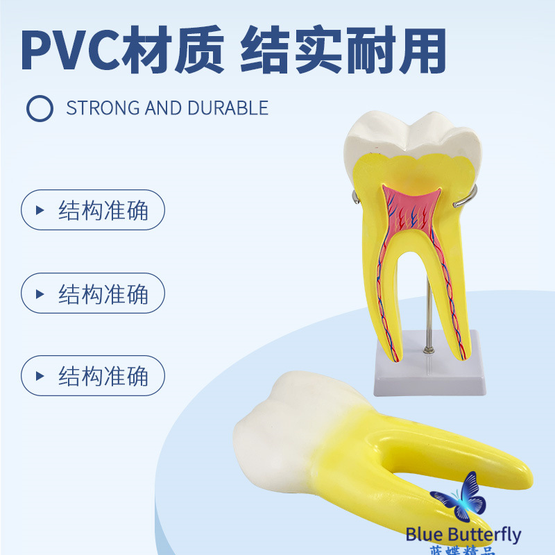 ����ĥ������ģ�� �׶�԰�̾�ҽѧ��ѧ��������ͨ�� �����֧��