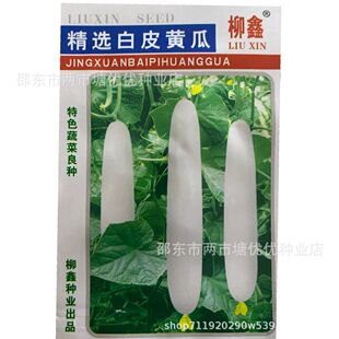 ��Ƥ�S�ϷN����Ʒ�N�S�ϷN�ӷ��D������S�ϷN�Ӵ����ͺ��S�ϷN��