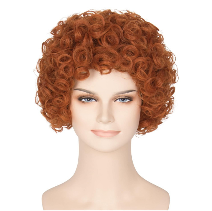 Cross-border wig European and American women's Brown short curly hair women's short curly hair African small curly fluffy factory in stock wholesale