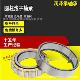 轻型圆柱滚子轴承NJ1005 1006 1007 1008 1009 1010尼龙黄铜现货