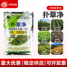 40%��݃� ��@���@����С���s�ݚ��ݓ�ݱM���݄��rș