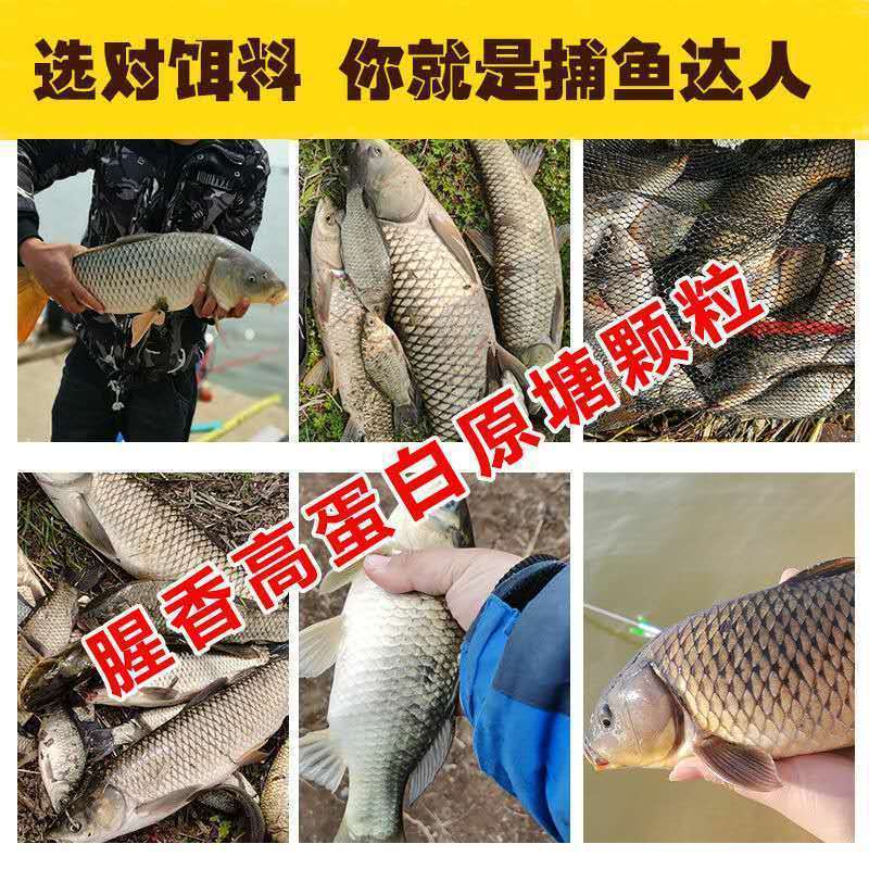 5斤原塘颗粒四季型窝料鲤鱼野钓鲫鱼草鱼黑坑散炮包邮钓大物|undefined