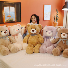 正版毛绒玩具丝带泰迪熊公仔抱抱熊玩偶娃娃女生礼物网店代销批发