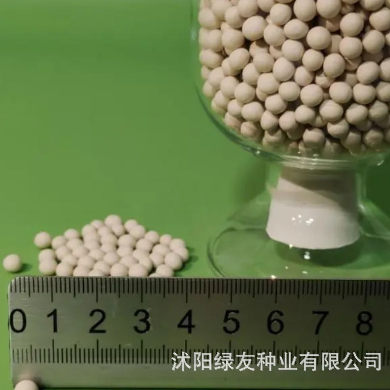 草坪种子牧草种子蔬菜种子丸粒化加工包衣种子定制欢迎咨询