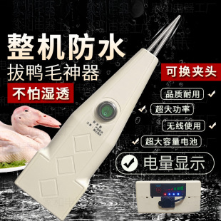 ��������ë�����uë��ë�������ð�ȥ���������i늄ӓܷ�ˮÓë�C