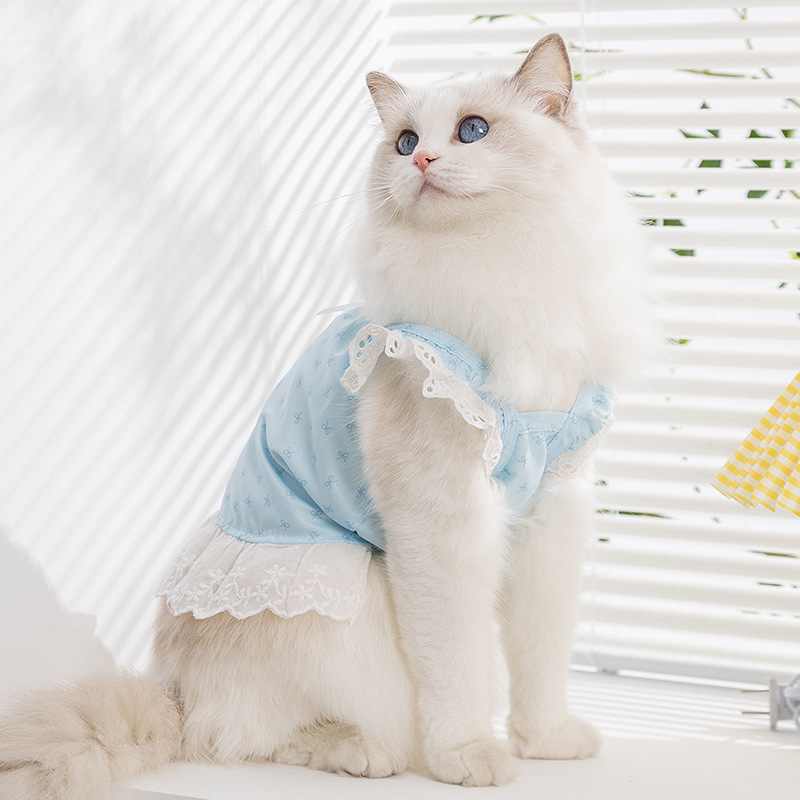 Gato primavera verano dama viento ojos mariposa encaje encaje tirantes falda perro falda peluche mascota gato ropa