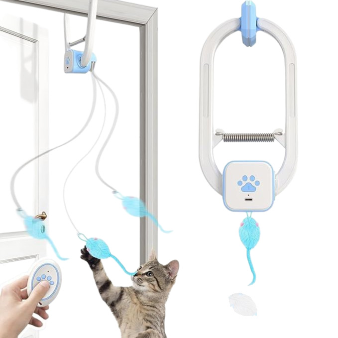 ����ֱ������ѷר��ң�ص綯è����ż�����������������������