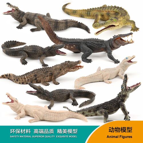 Children's simulation model amphibian crocodile toy Nile crocodile wild boar crocodile alligator wild animal model