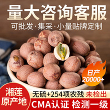 湘潭红莲子干货带芯湖南湘莲连子干货无硫新货莲子批发带心500克