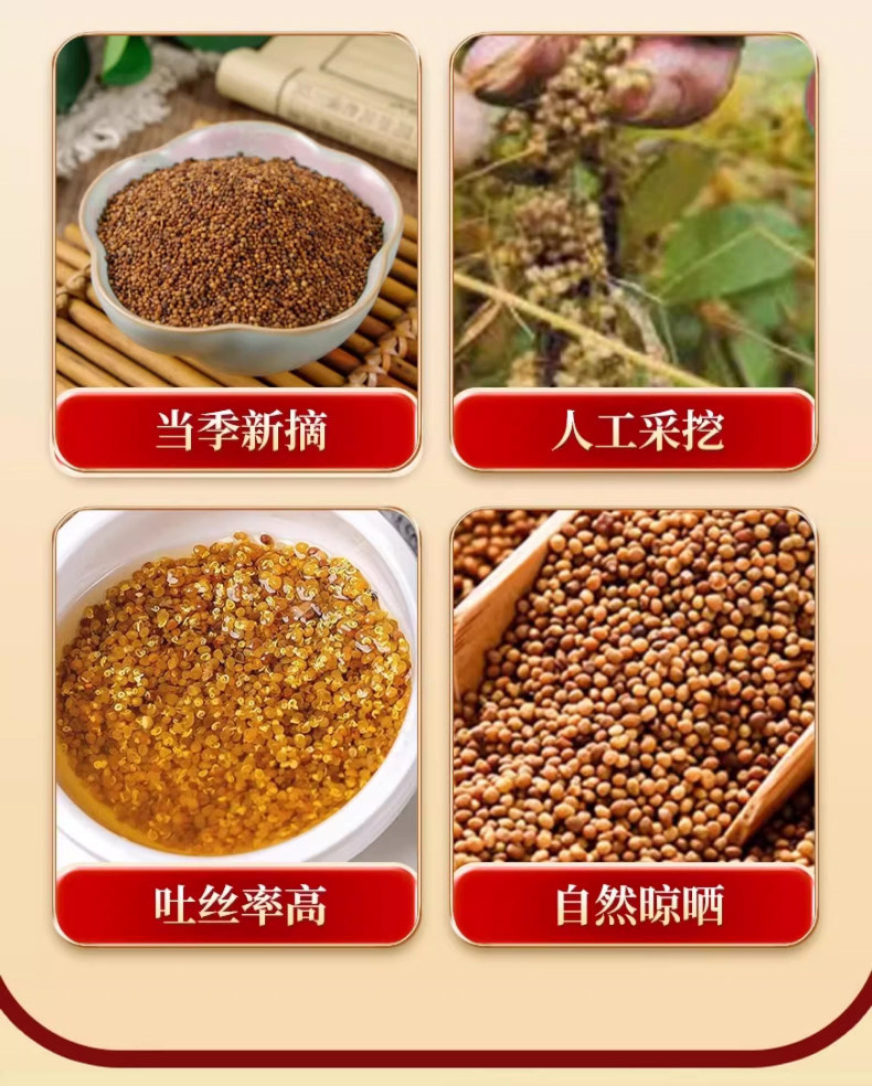 Premium Dodder Seed Tu Si Zi Whole Herb Tea Grade Chinese Botanical for Daily Infusions overview