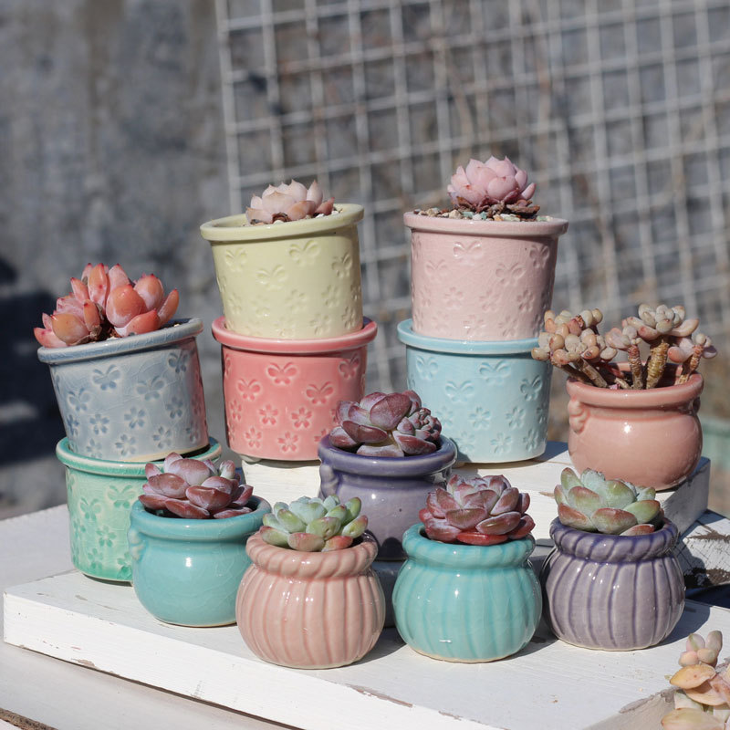 Free shipping fleshy flowerpot special clearance coarse pottery breathable absorbent basin old pile basin large diameter group basin creative purple sand