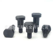 CBDBWH4/D5/D6/D8/D10/D12�z��ƽ֧�c��̨�A��˨�^���и���