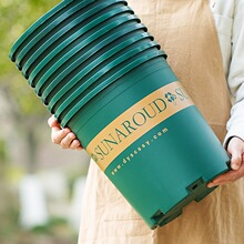 ���l������������ϼӺ��̨�辰����Ӂ���G�}�����¼���ݮ