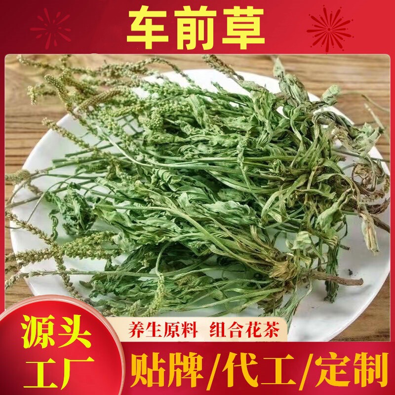 Wild Plantain Herb for Tea, Whole Plant, Fresh, Sulfur-Free, Dried for Brewing, Plantain Tea, Plantain Wholesale