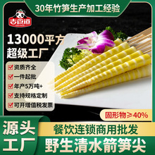 吉食道清水罗汉笋500g箭笋子新鲜竹笋尖火锅串串食材商用整箱批发