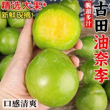 ���������������������Ó����������S�������Ӯ������r�ЋDˮ��