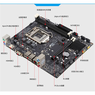 �m�ð��_H81M��Intel H81/LGA1150�� �pDDR3�ȴ� �������x ����